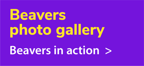 beaver_photo_gallery_block